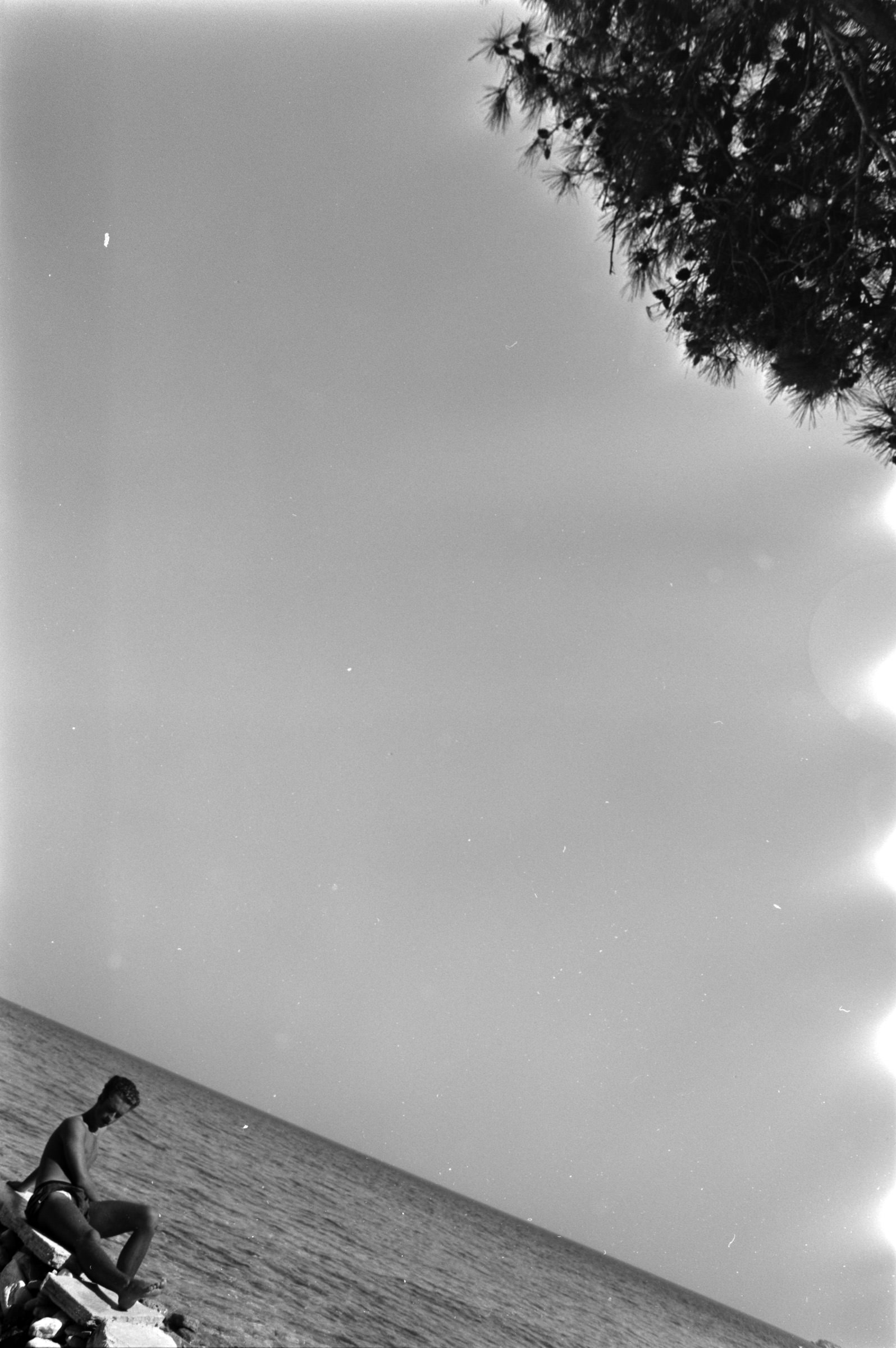 AHP F1991 09 002 sc240801 img03 NLP